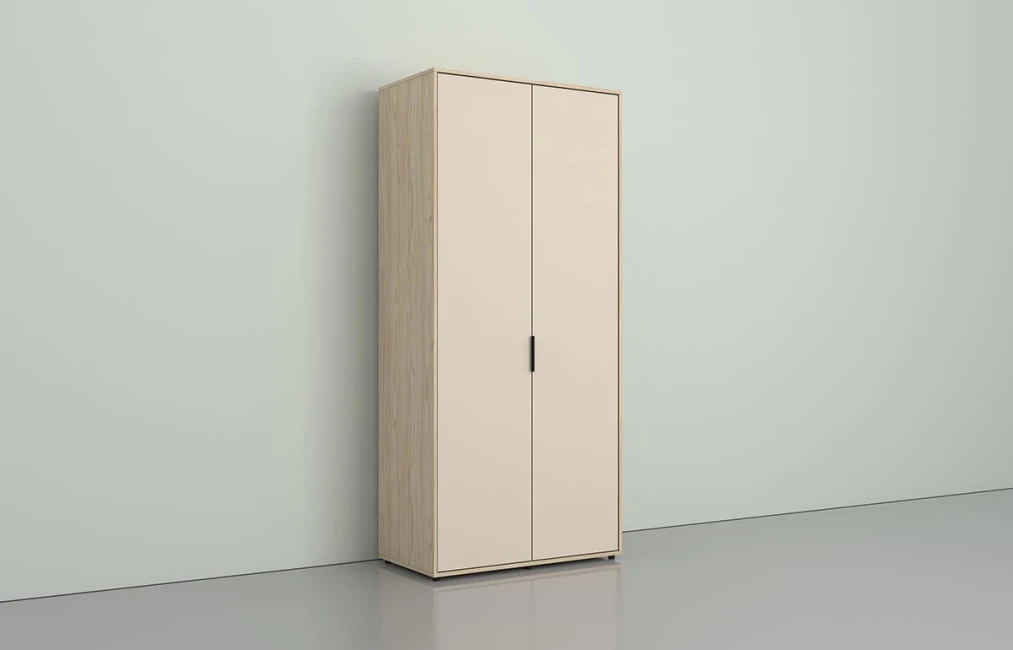 REM 2 Door Wardrobe (2D-1002)-1