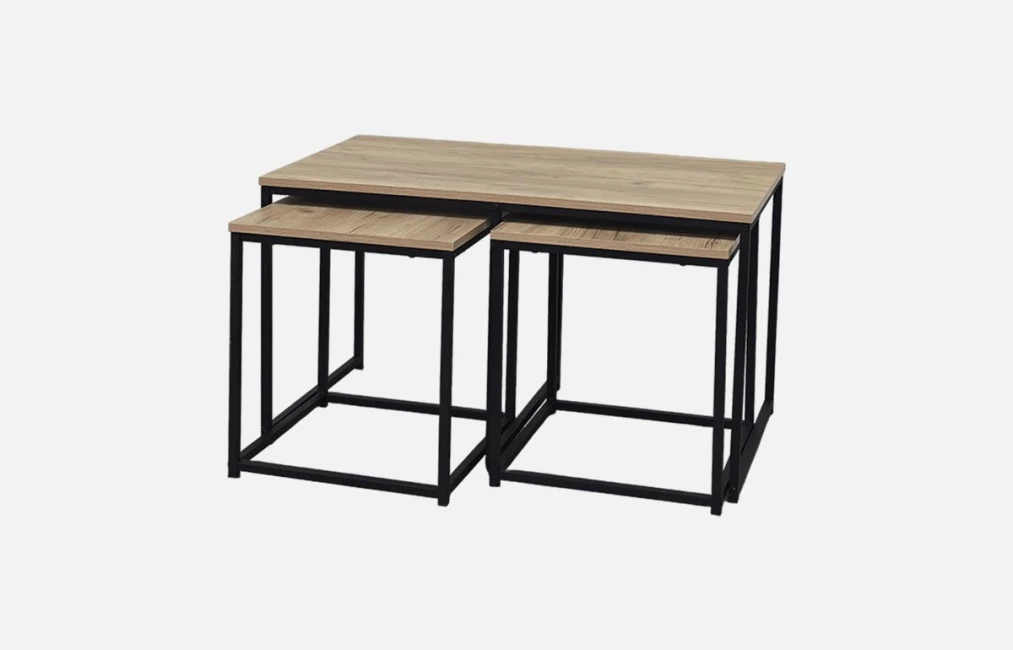 CJ-N2541-M67 (Palıd) Jurnal Masa -1