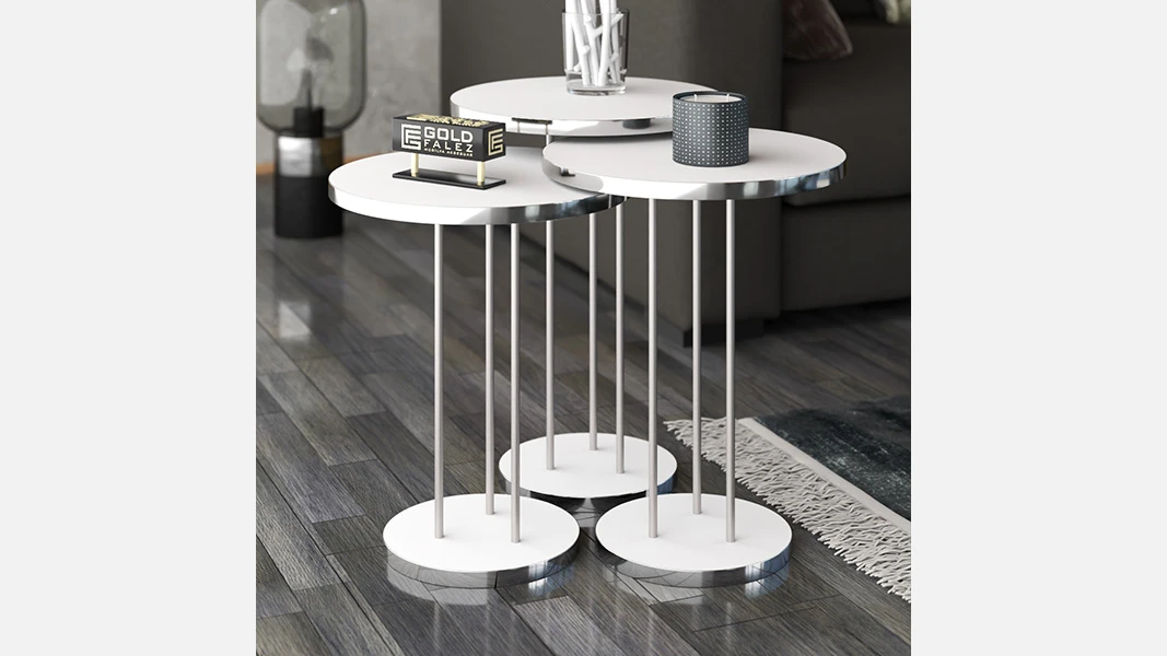 1309 (Ağ) Jurnal Masa-1