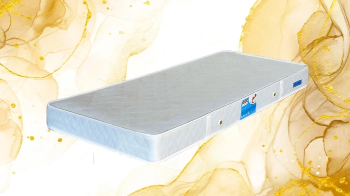 Ecoline Döşək (90x200)-1